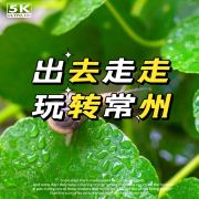 出去走走玩转常州