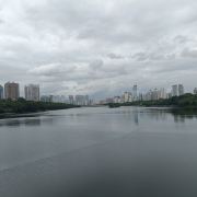 有风无风皆自由