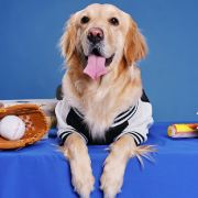 🌿mota的旅行记录