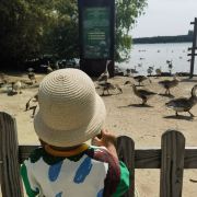 爱溜达的旺旺蚕豆酥