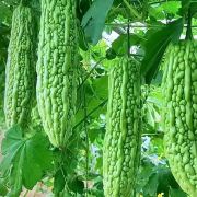 每天都是美好的一天