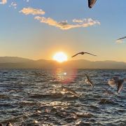 阿源带你看世界