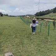 yunnan大理祥云县