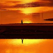 清北研学魏老师