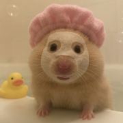 一只卜(旅游攻略)