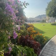 一个独特的灵魂