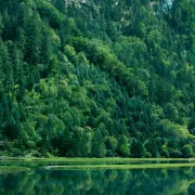 旅游管家小钟