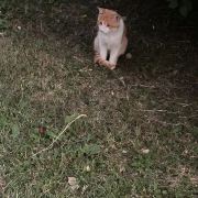 你先别急.