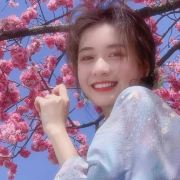 全国旅游小芯