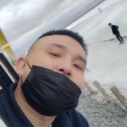 一直努力飞起来的猪