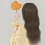 木槿—旅游笔记