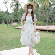 会赚米的小丽丽