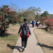 轻风细雨爱游玩