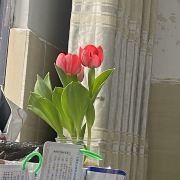 小赵探店日记📔