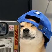 兴兴旅行者