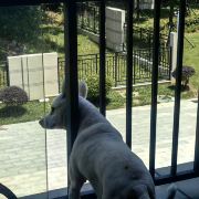 a.我ོ心ེ匪ི石ོ