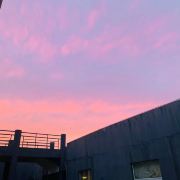 智慧少女不秃头呀