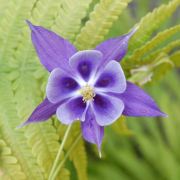 陪您诗和远方OMG