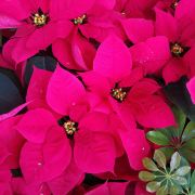 一路向南,不归家的人