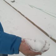 小兔子家的喵喵咪啊哈