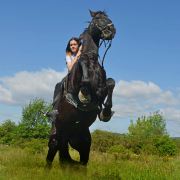 野丫头的旅游笔记