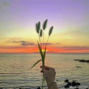 女王陛下,成退了。