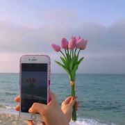 一花一朵一世界