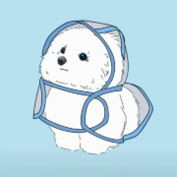 布公仔丁