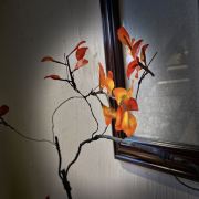 小土豆🥔🌙🌟