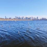 繁华落尽皆过客