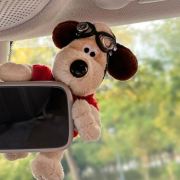 杨🌸🌸爱溜达