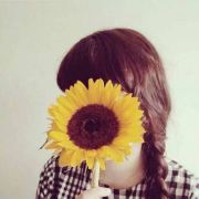 _冰箱里的向日葵_