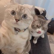 又是猝死在工作岗位的一天