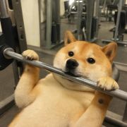 在路上的小马达