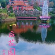 南澳岛包车服务咨询