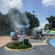 柠檬🍋🟩有点甜