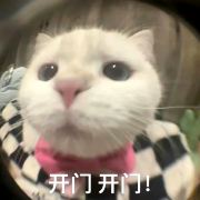 不吃火锅吃什么