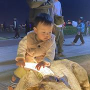 爱笑爱旅游的jojo