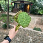 吃辣条的橘子君