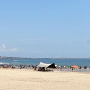 想去环游世界cc