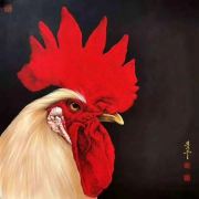 高原旅行鉴赏家