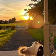 今天吃麻辣烫🙋