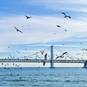 ❤酿了一冬的甜(◍•ᴗ•◍)❤