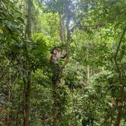 探秘雨林 -小林