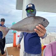 A-H(双帆石海钓导钓)