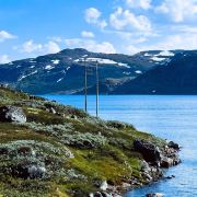 飞起来游玩的小怪兽