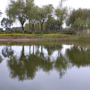 游山玩水看世界的人