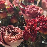 眼里是你 ﻌﻌﻌﻌ♡