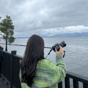 芝麻酱怎么就没有了