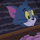 布偶带你吃喝玩乐